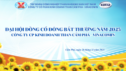 Nghị Quyết Đại hội Đồng Cổ đông bất thường năm 2025 Công ty CP Kinh doanh than Cẩm Phả - Vinacomin