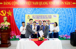 Các đơn vị trực thuộc Công ty CP Kinh doanh than Cẩm Phả - Vinacomin tổ chức hội nghị tổng kết SXKD năm 2025 và hội nghị người lao động năm 2026